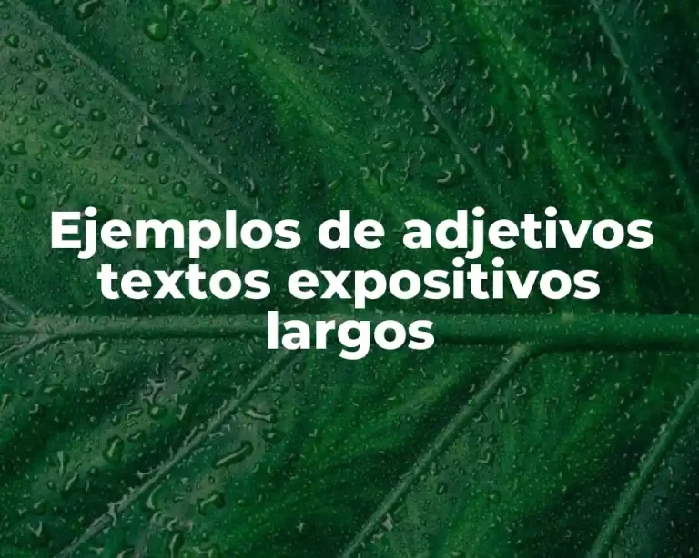 Ejemplos de adjetivos textos expositivos largos