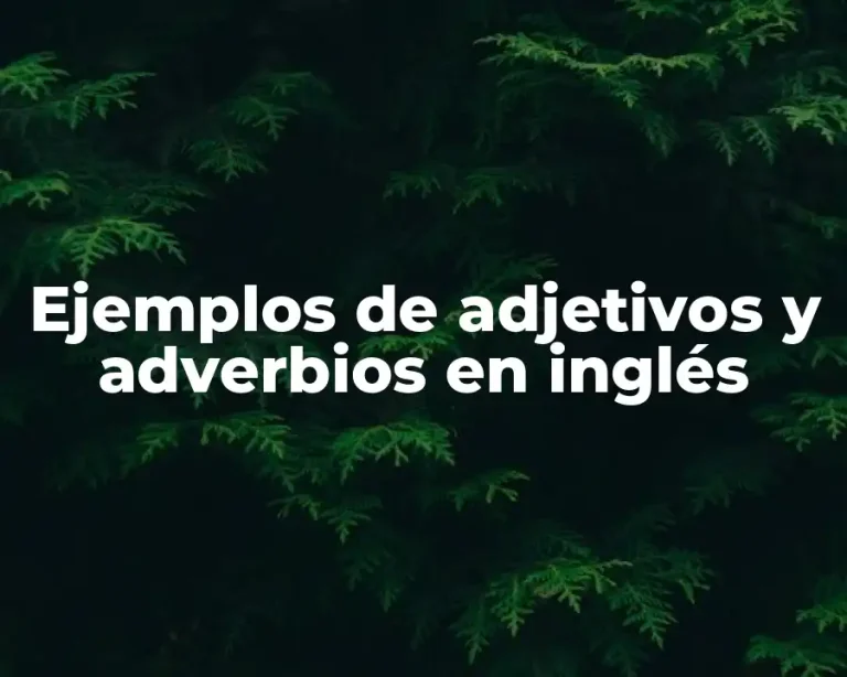 Ejemplos de adjetivos y adverbios en inglés