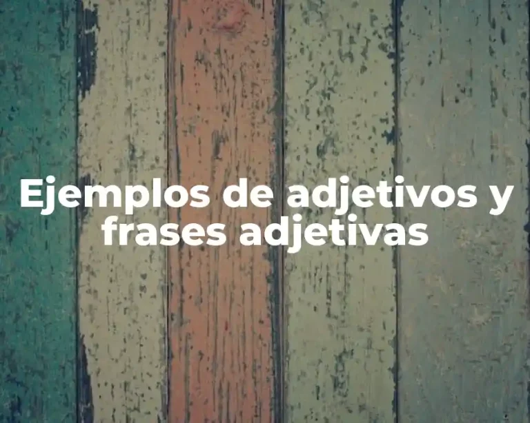 Ejemplos de adjetivos y frases adjetivas