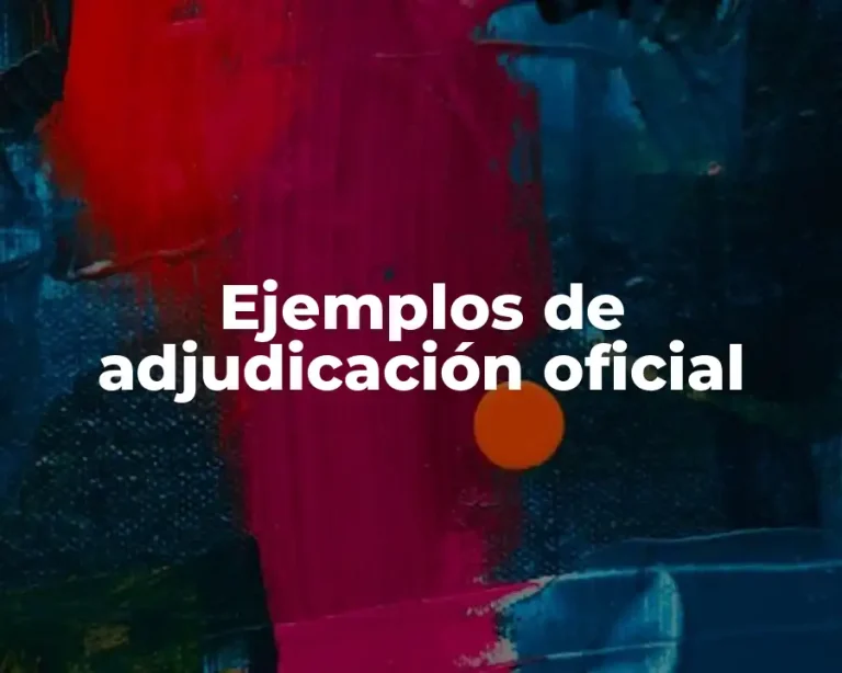 Ejemplos de adjudicación oficial