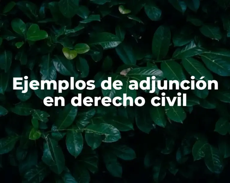Ejemplos de adjunción en derecho civil
