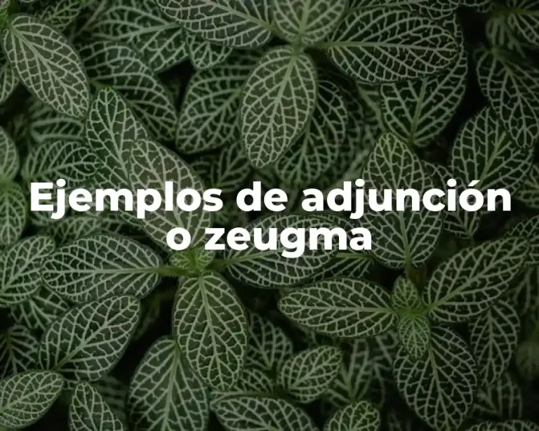 Ejemplos de adjunción o zeugma