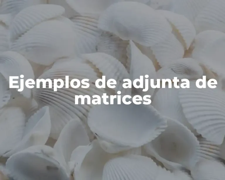 Ejemplos de adjunta de matrices
