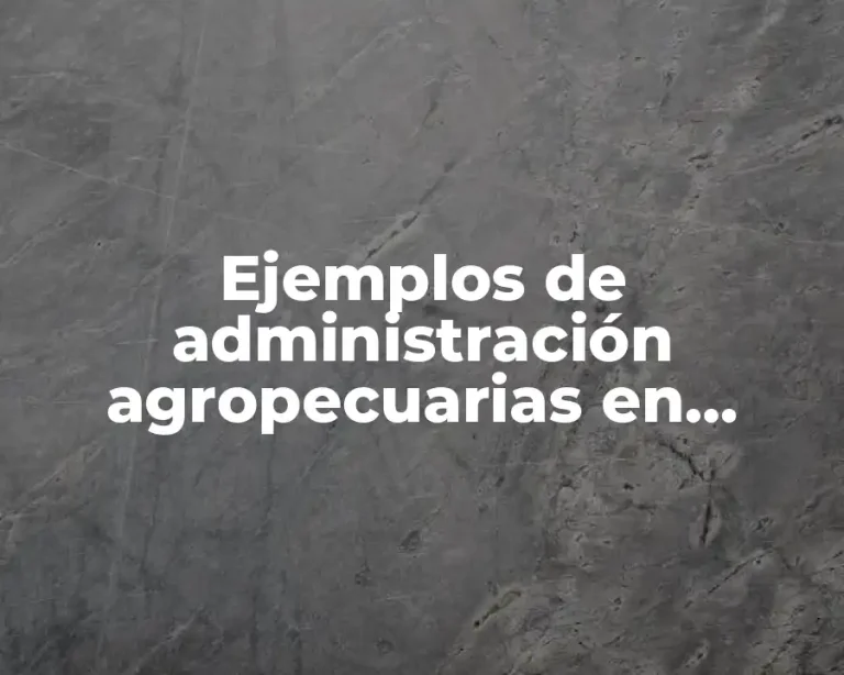 Ejemplos de administración agropecuarias en México