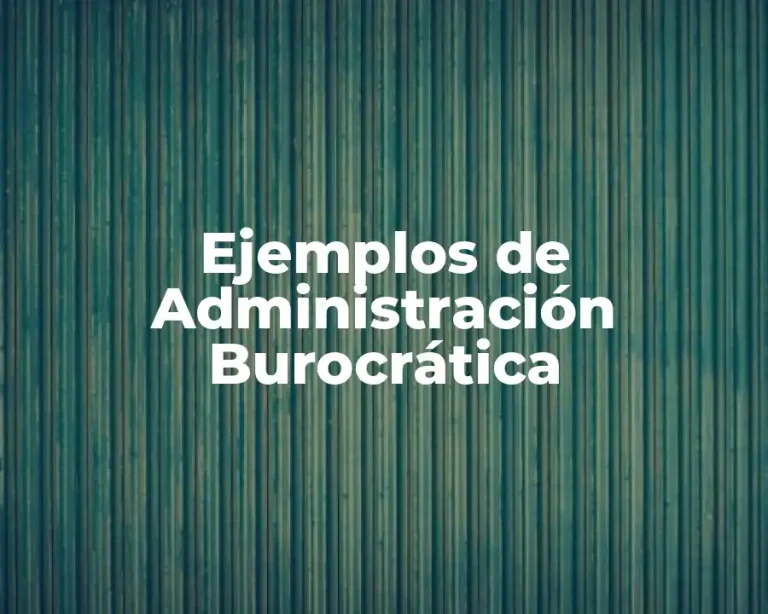 Ejemplos de Administración Burocrática