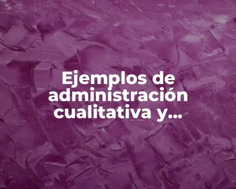 Ejemplos de administración cualitativa y cuantitativa de una empresa y Significado