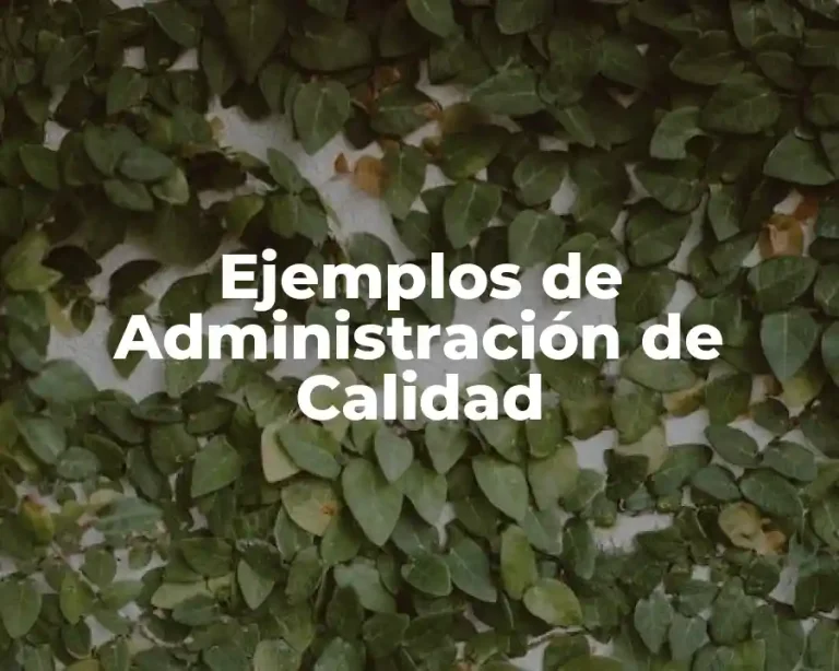 Ejemplos de Administración de Calidad