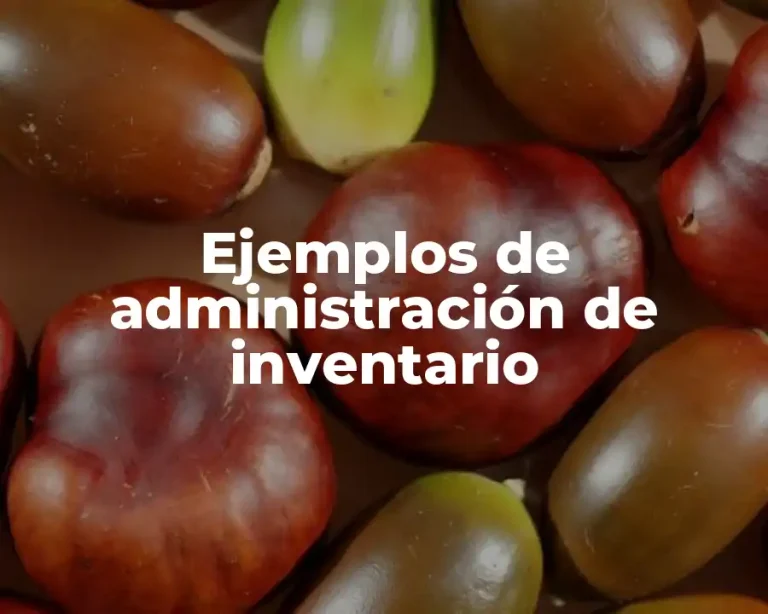 Ejemplos de administración de inventario