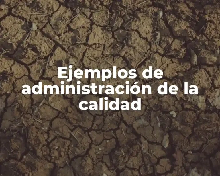 Ejemplos de administración de la calidad