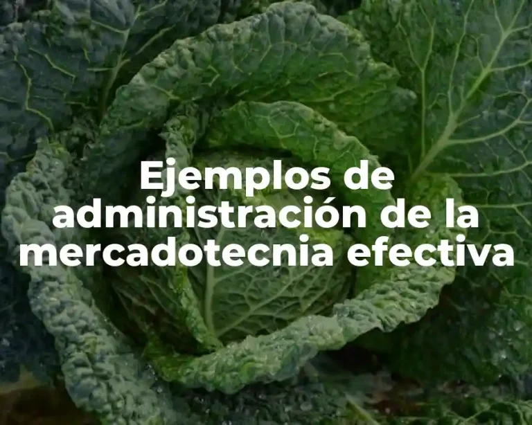 Ejemplos de administración de la mercadotecnia efectiva