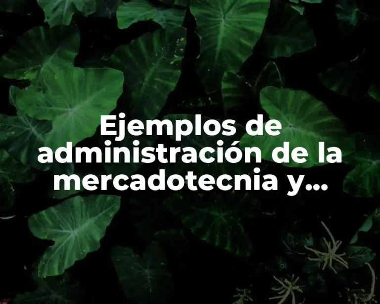 Ejemplos de administración de la mercadotecnia y Significado