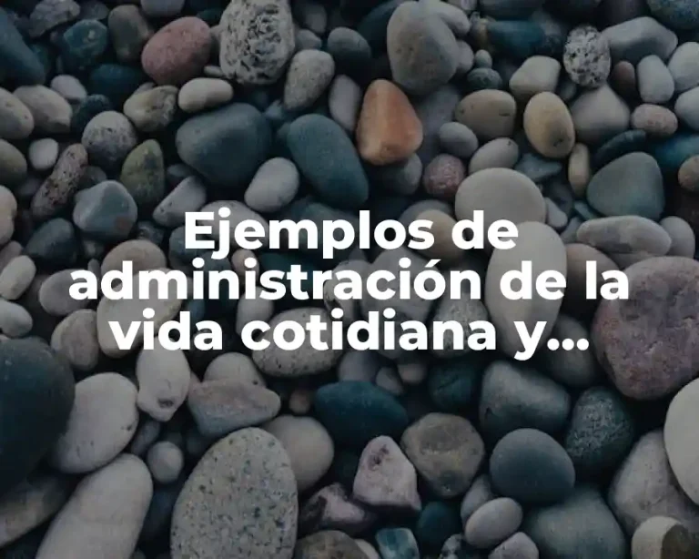 Ejemplos de administración de la vida cotidiana y Significado
