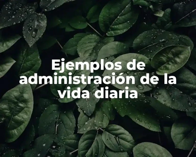 Ejemplos de administración de la vida diaria