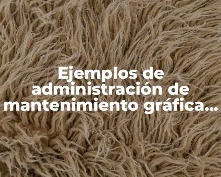Ejemplos de administración de mantenimiento gráfica de Gantt