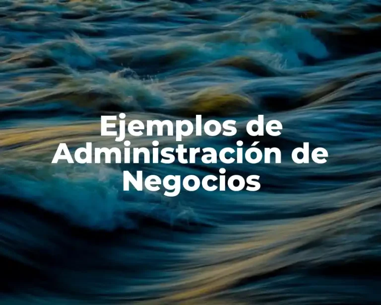 Ejemplos de Administración de Negocios