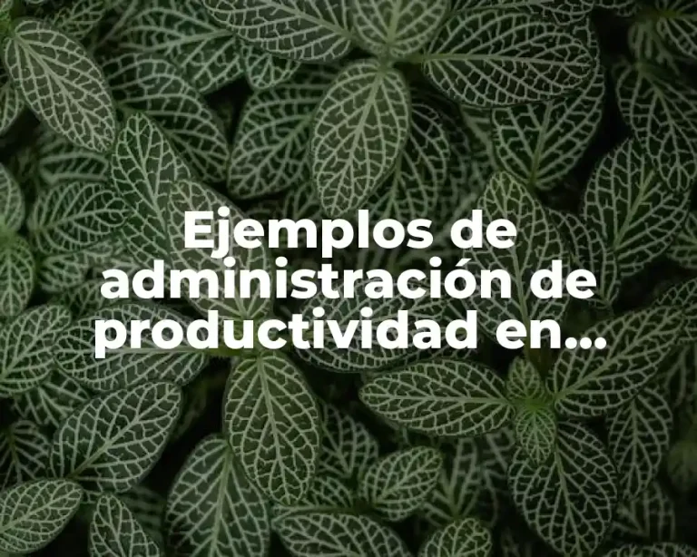 Ejemplos de administración de productividad en alguna empresa