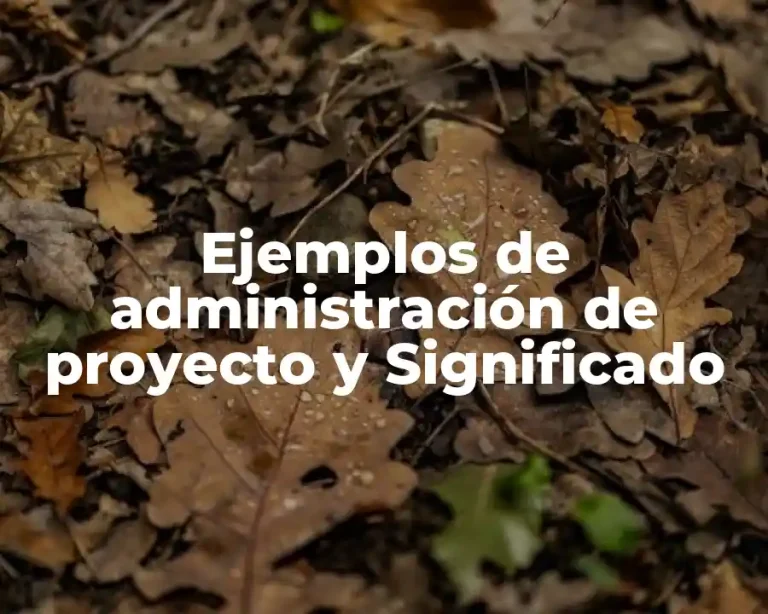 Ejemplos de administración de proyecto y Significado