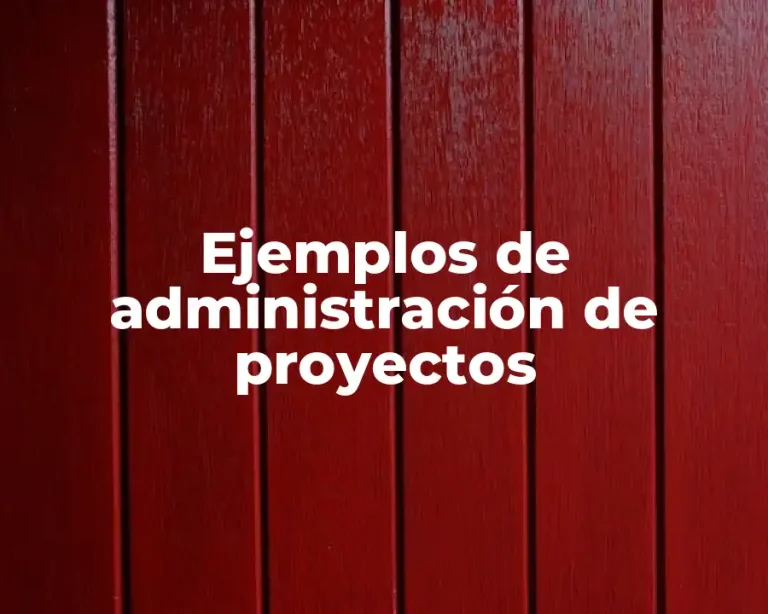 Ejemplos de administración de proyectos
