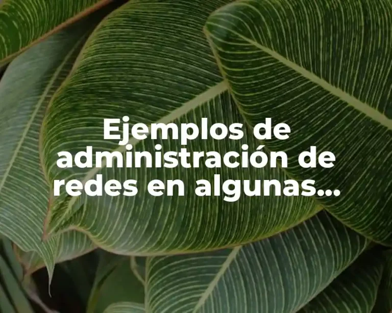 Ejemplos de administración de redes en algunas empresas