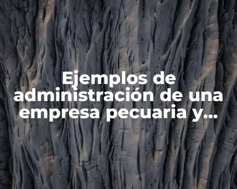 Ejemplos de administración de una empresa pecuaria y Significado