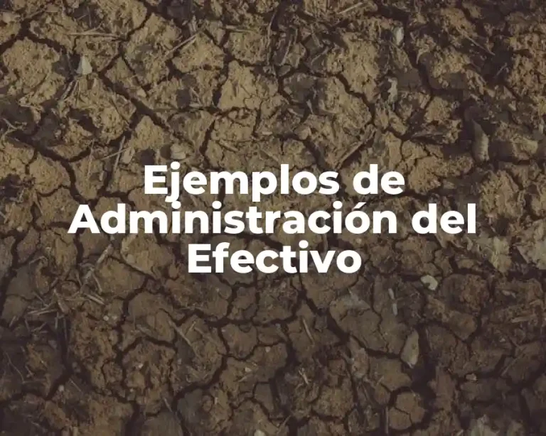 Ejemplos de Administración del Efectivo