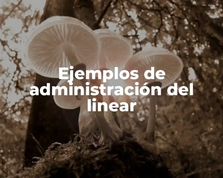 Ejemplos de administración del linear