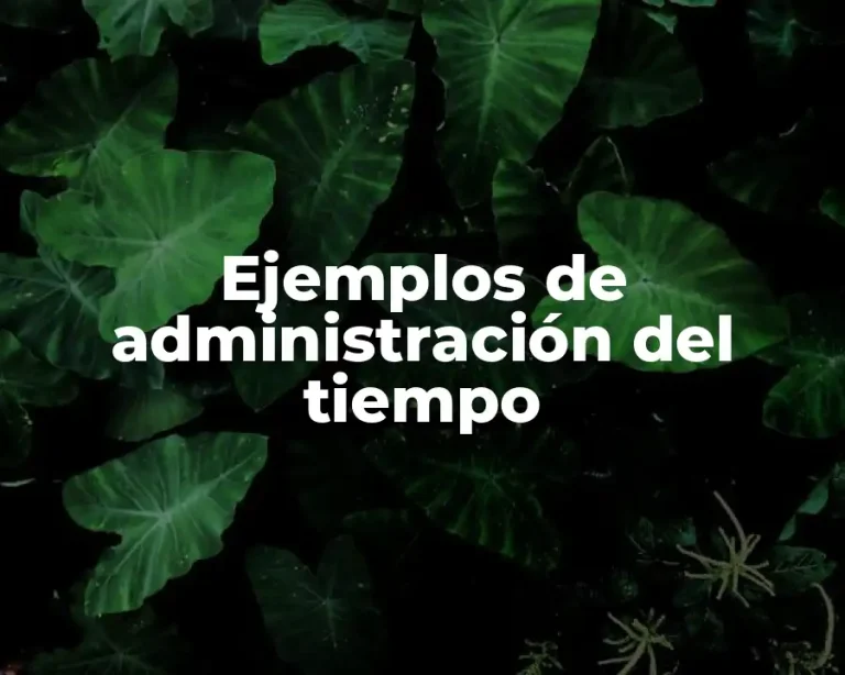Ejemplos de administración del tiempo