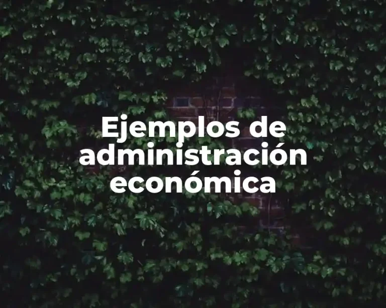 Ejemplos de administración económica