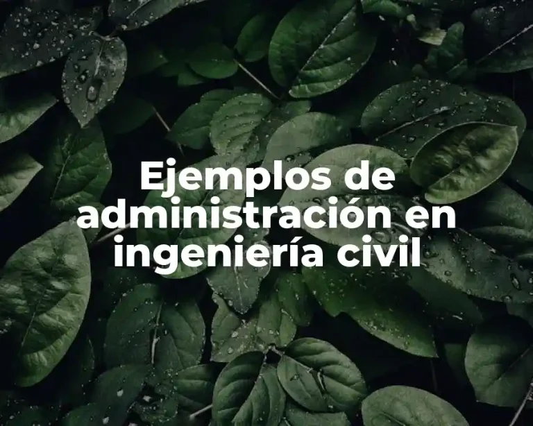 Ejemplos de administración en ingeniería civil