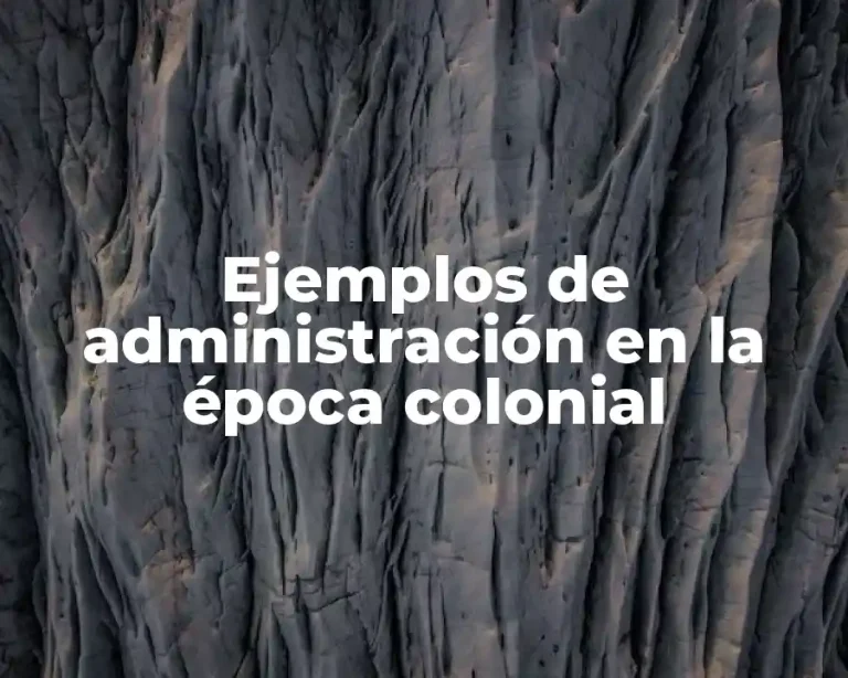 Ejemplos de administración en la época colonial