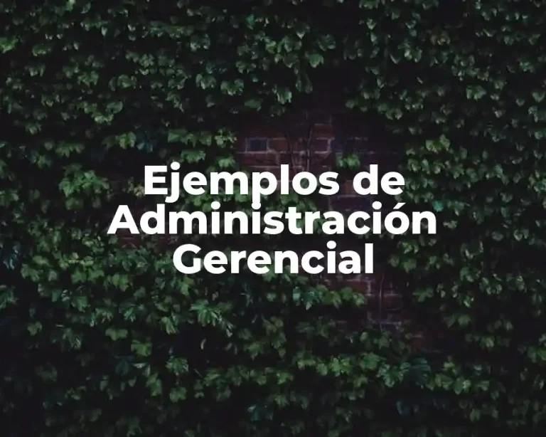 Ejemplos de Administración Gerencial