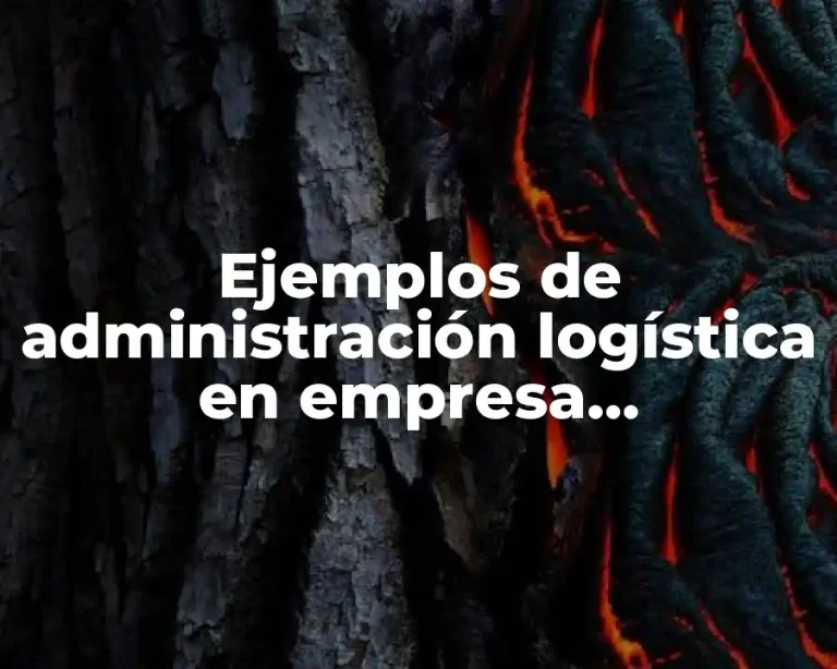 Ejemplos de administración logística en empresa manufacturera