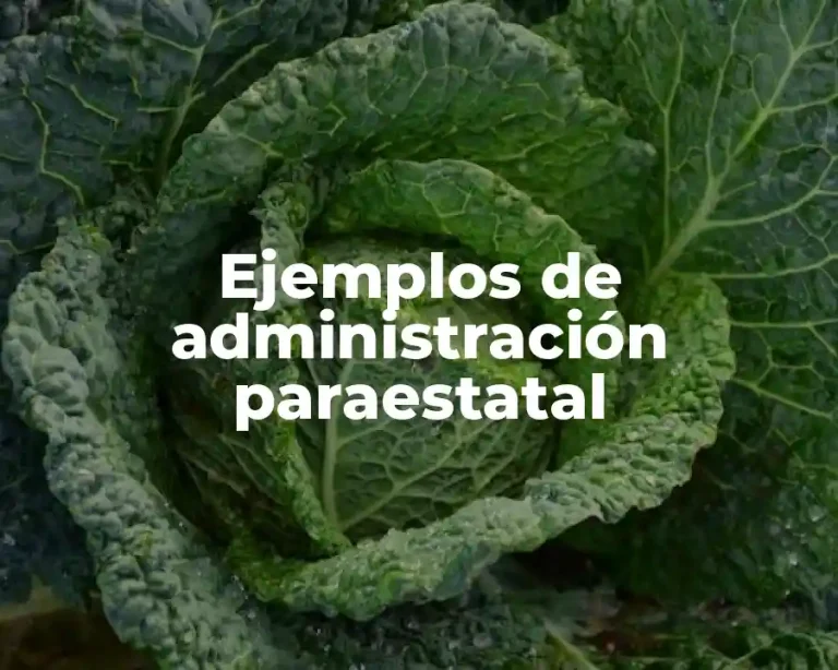 Ejemplos de administración paraestatal