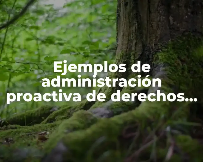 Ejemplos de administración proactiva de derechos humanos
