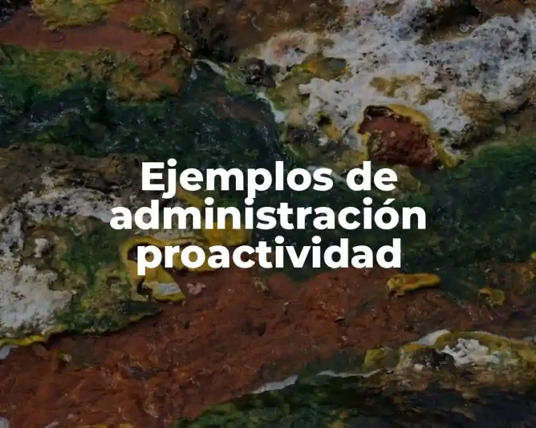 Ejemplos de administración proactividad