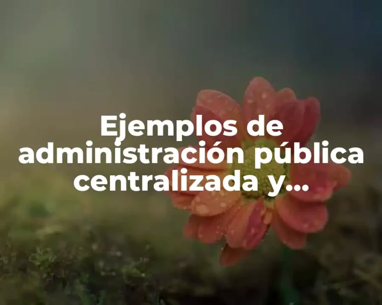 Ejemplos de administración pública centralizada y paraestatal