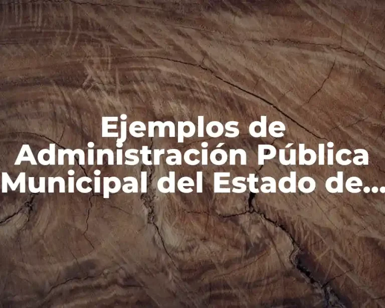 Ejemplos de Administración Pública Municipal del Estado de México