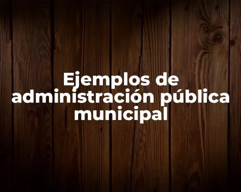 Ejemplos de administración pública municipal