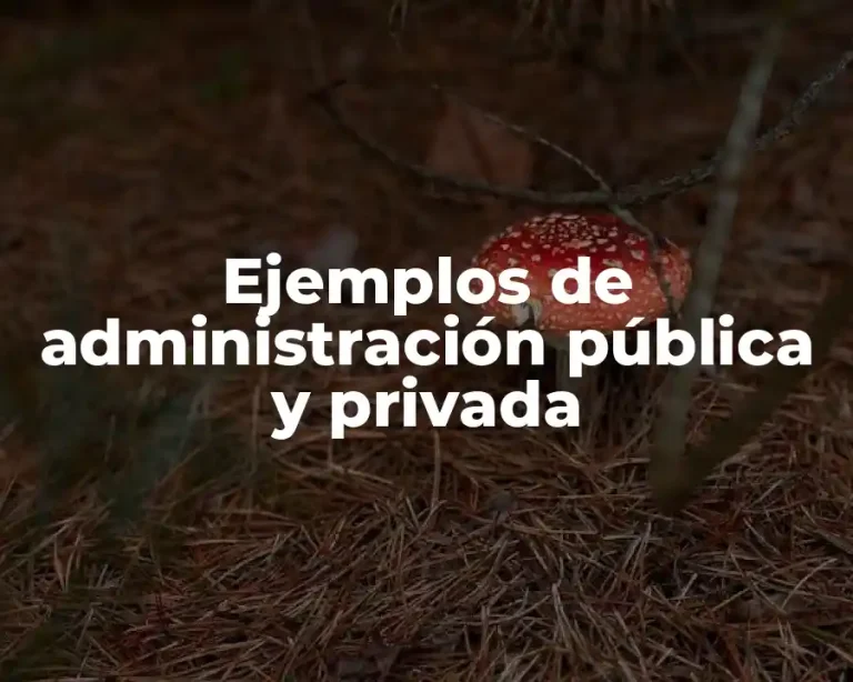 Ejemplos de administración pública y privada