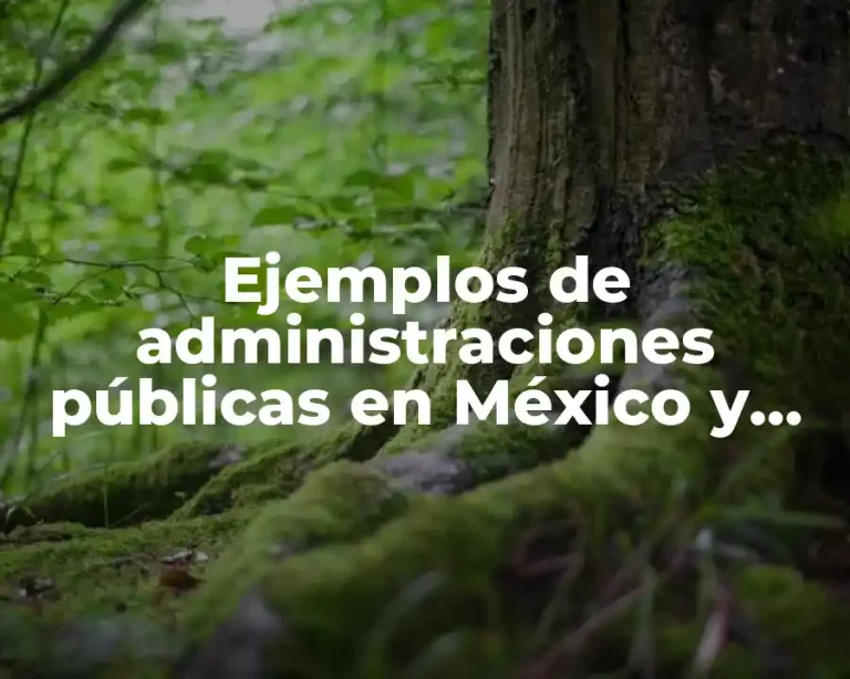 Ejemplos de administraciones públicas en México y Significado