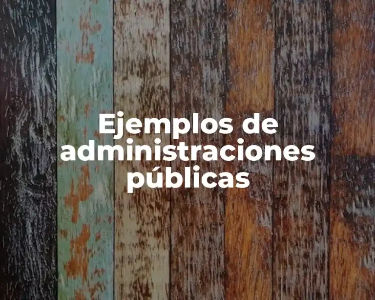 Ejemplos de administraciones públicas