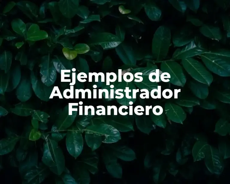 Ejemplos de Administrador Financiero