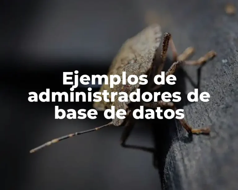Ejemplos de administradores de base de datos
