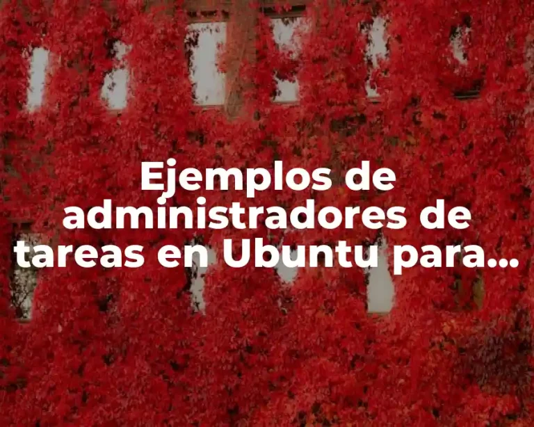 Ejemplos de administradores de tareas en Ubuntu para instalar