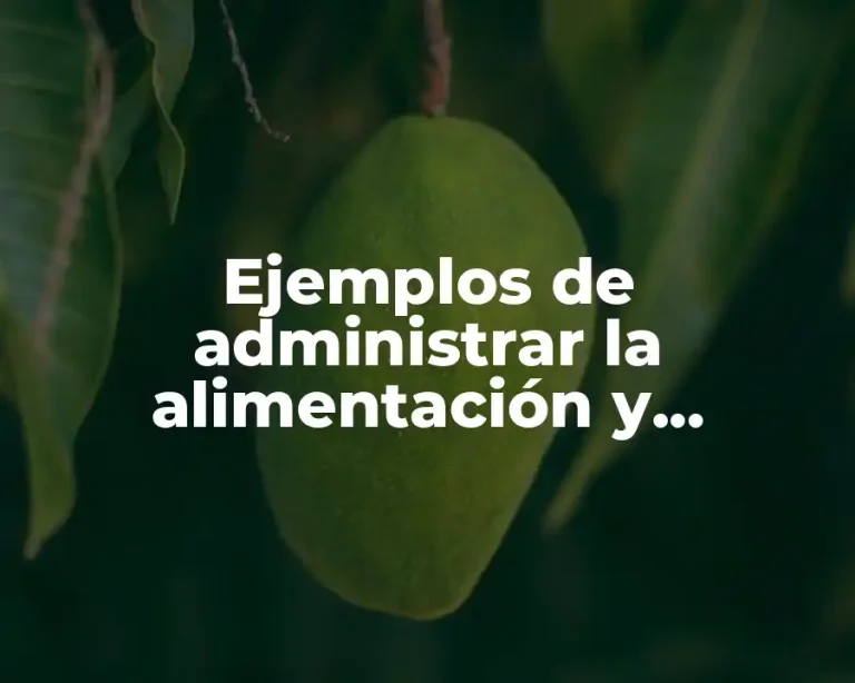 Ejemplos de administrar la alimentación y Significado