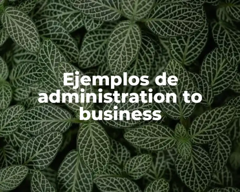 Ejemplos de administration to business