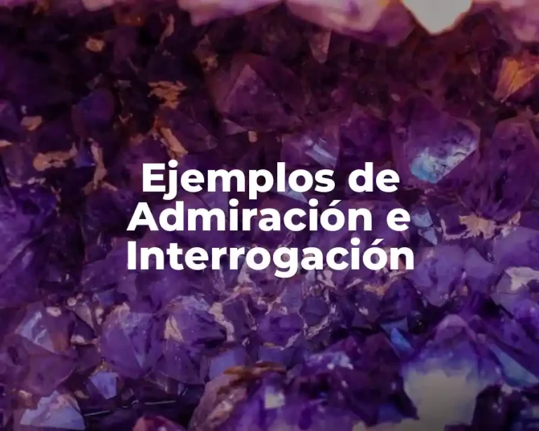 Ejemplos de Admiración e Interrogación