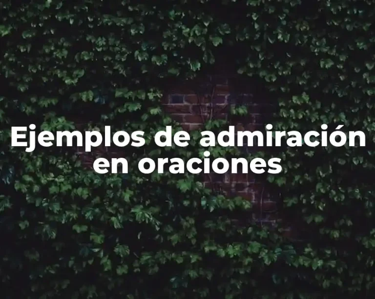 Ejemplos de admiración en oraciones