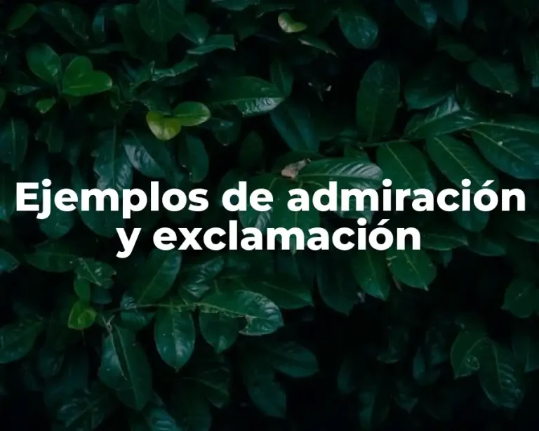 Ejemplos de admiración y exclamación