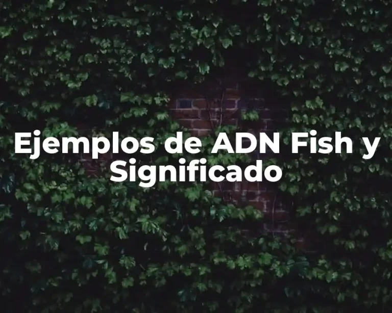 Ejemplos de ADN Fish y Significado
